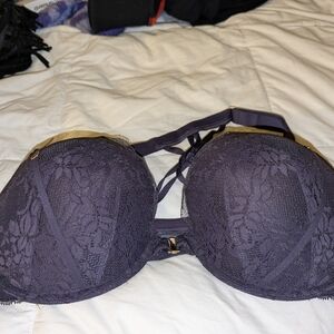 Lane Bryant - Cacique Elegant Lace Underwire Bra in Purple Size 46DD
